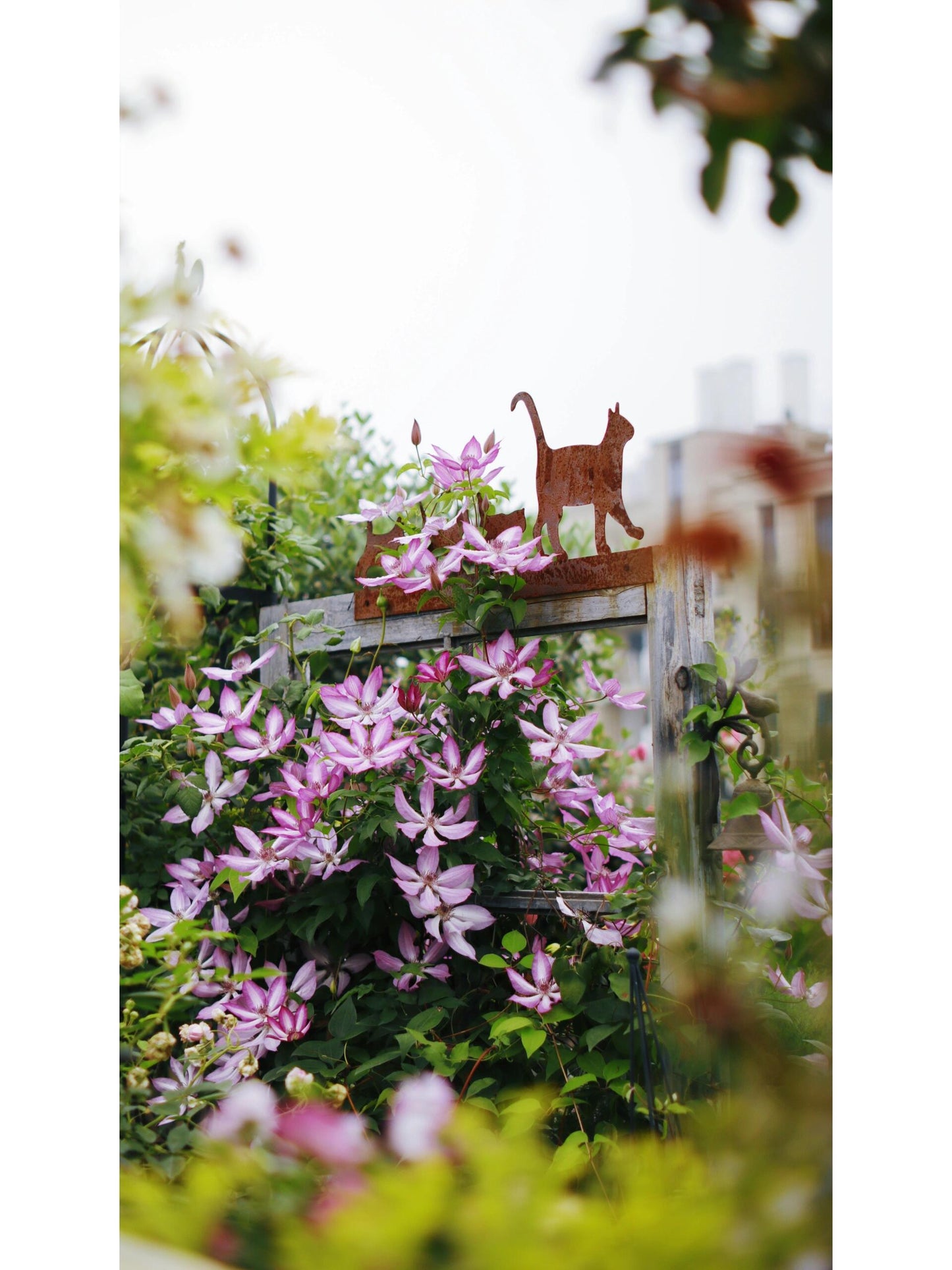 Clematis ‘’Lizard|トカゲ |蜥蜴 ‘’