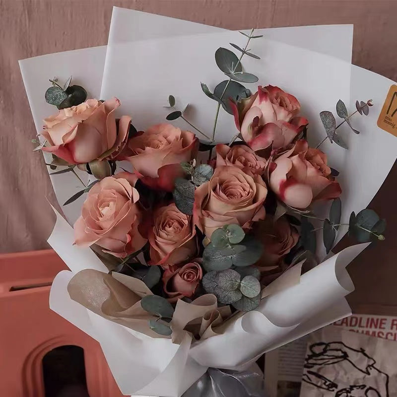 Rose ‘Cappuccino’ 卡布奇诺