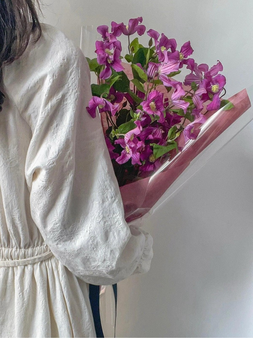 Clematis ‘’Inspiration|灵感‘’
