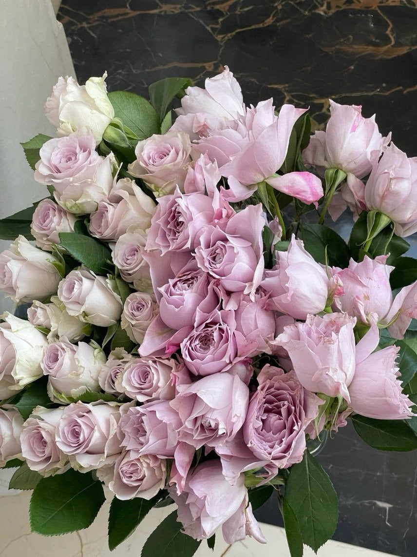 Rose ‘ Dreamy Violet|幻紫 | New Variety -2021 ’