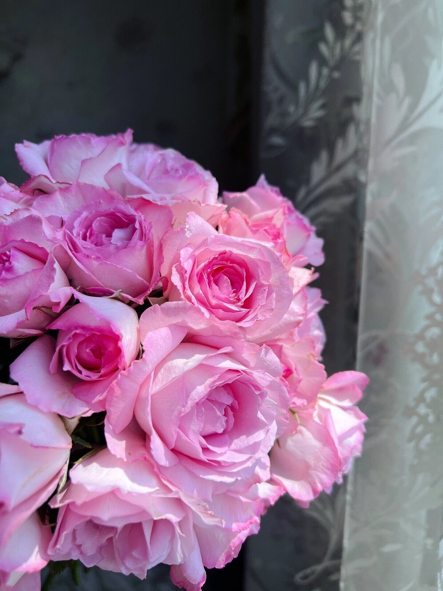 Rose ’Rien Rose | リアン・ローズ| 絆 | 河本绊 ‘