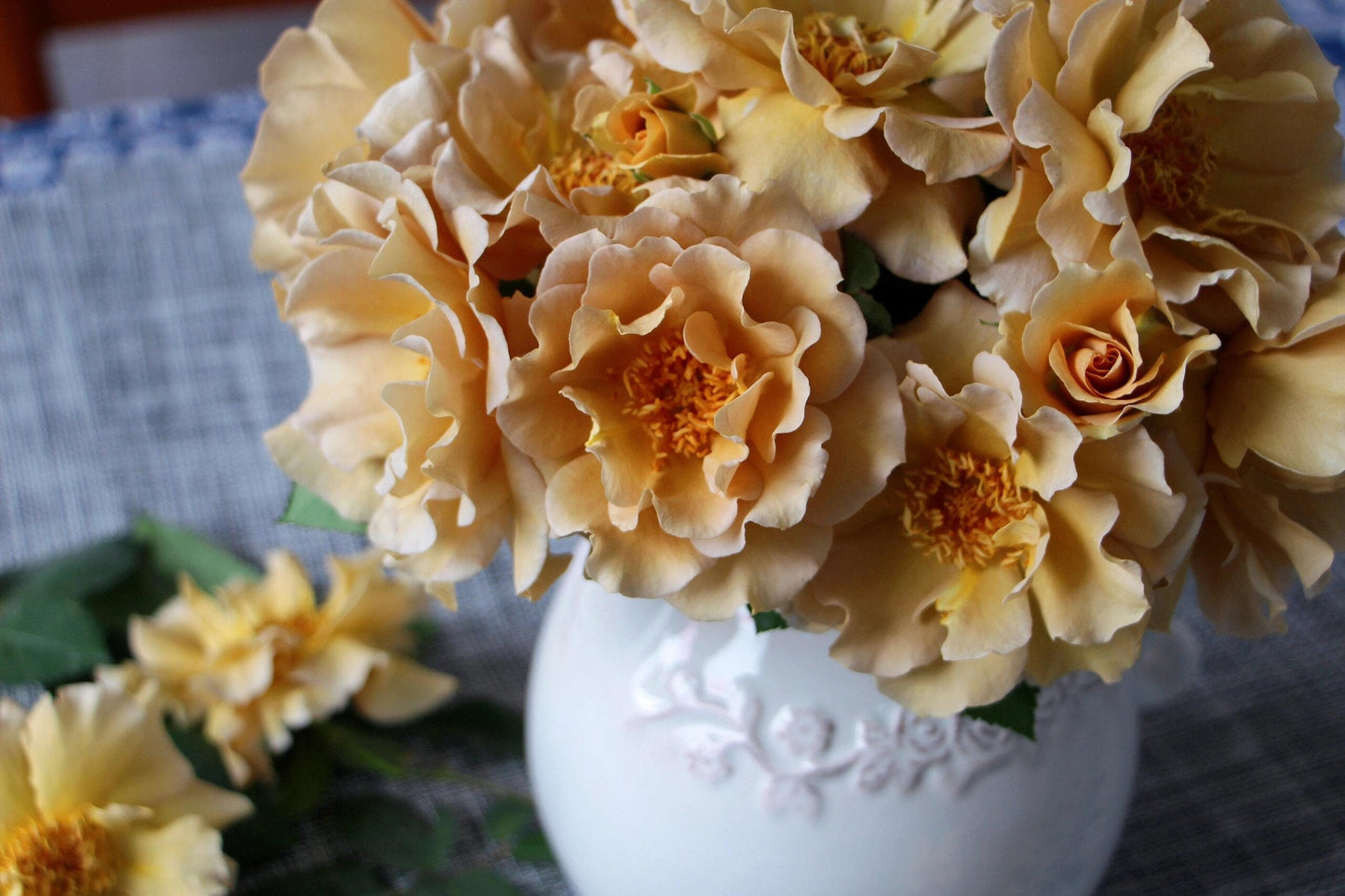 Rose ’ Eventail d'or | エバンタイユ・ドール | 金扇 折扇 - New Varieties 2021