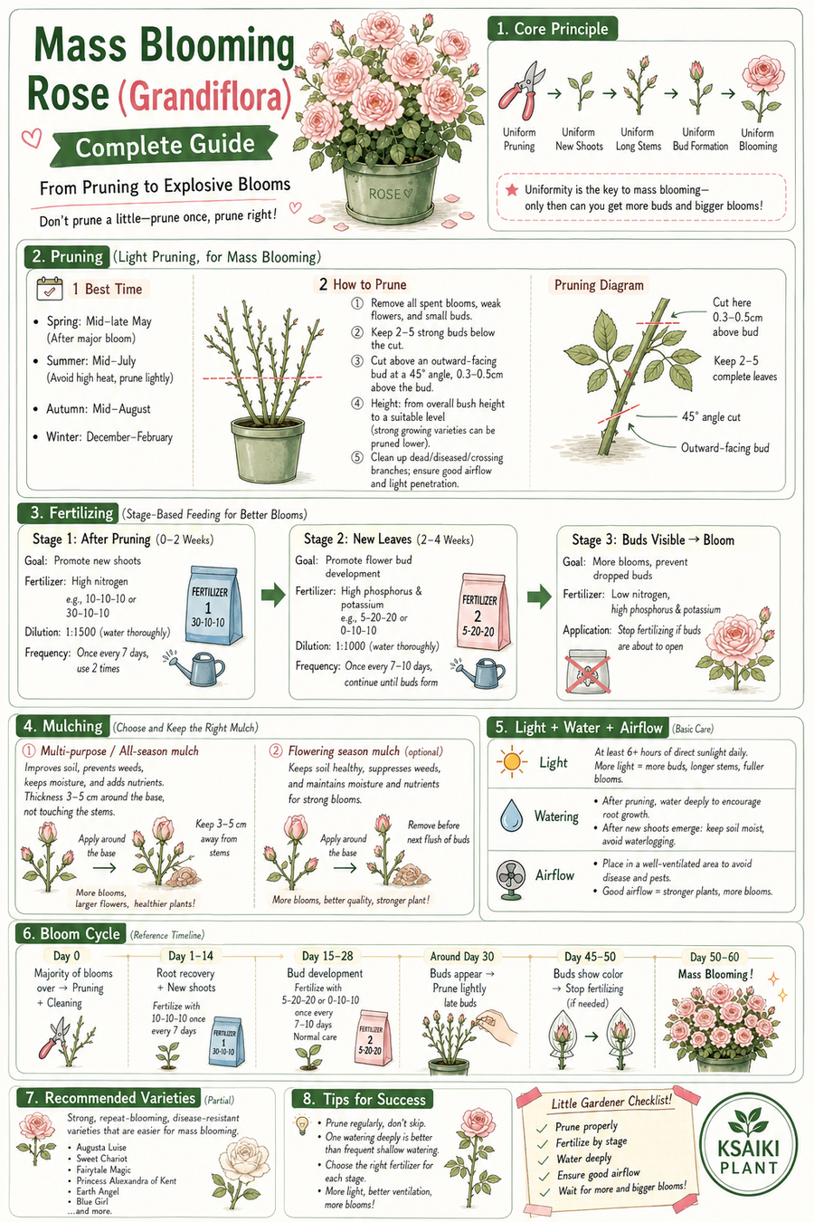 How to Get Mass Blooms on Roses: Complete Pruning & Fertilizing Guide