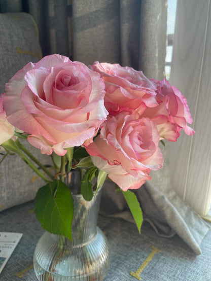 Rose  ’ BouLevard ｜ 林荫大道 | 武媚娘