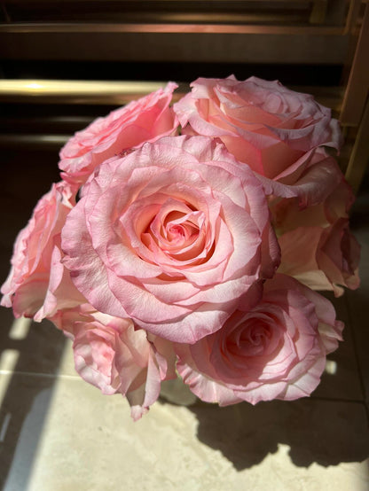 Rose  ’ BouLevard ｜ 林荫大道 | 武媚娘