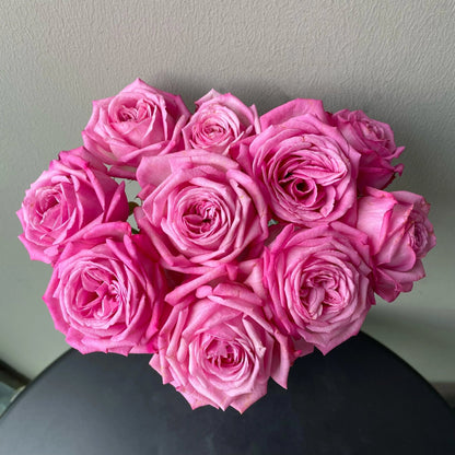 Rose  'Peach Blaze Sky | 桃灼蓝天 | Award-winning '