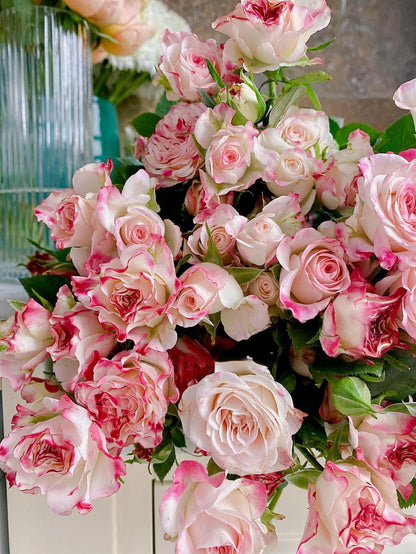 Rose 'Reflex Bubble / M-Reflex / 折射泡泡 '
