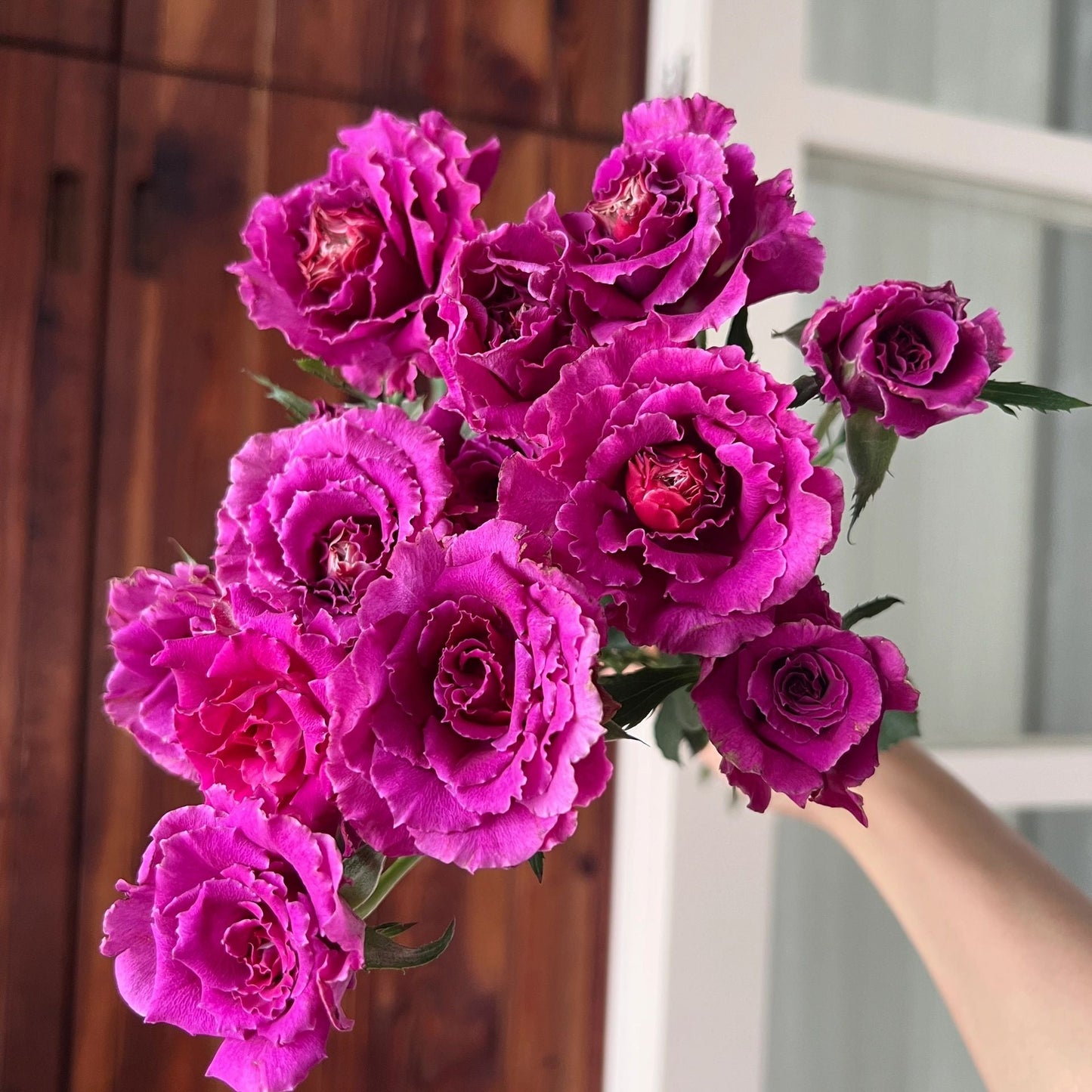 Rose  'Ramukan | ラムカン | 草药 '