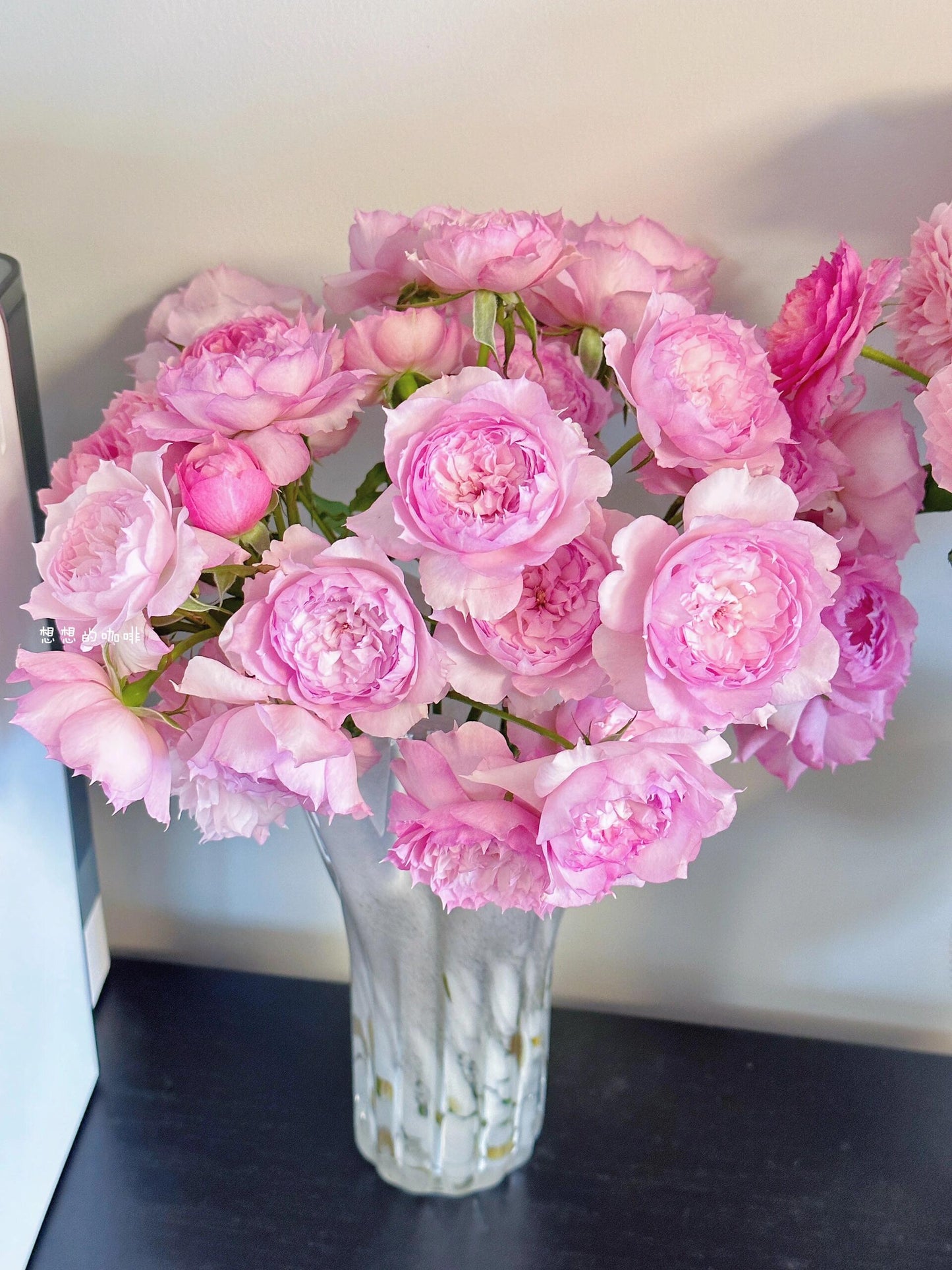 Rose ’ Misty Moon｜Rong Rong Yue ｜溶溶月 -  New Variety 2022