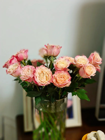 Rose  ‘ Dorothy Perkins ’桃乐丝