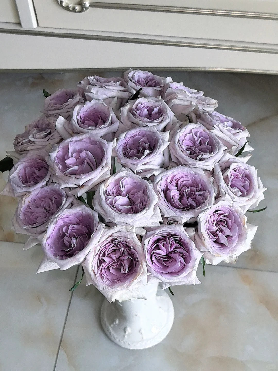 Rose  ‘ Purple O'Hara ’  紫荔枝
