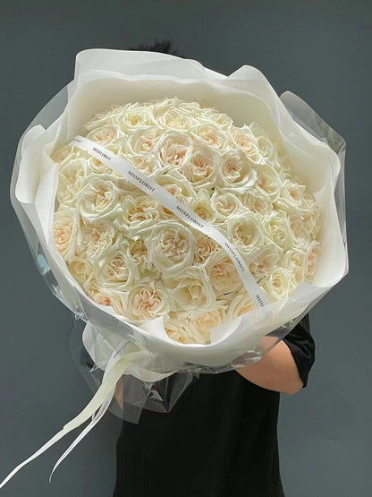 Rose  ‘ White O'Hara | 白荔枝 ’