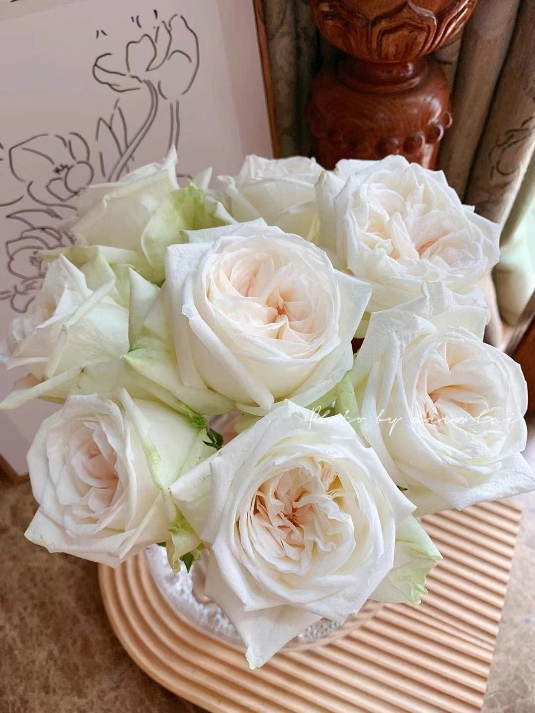 Rose  ‘ White O'Hara | 白荔枝 ’