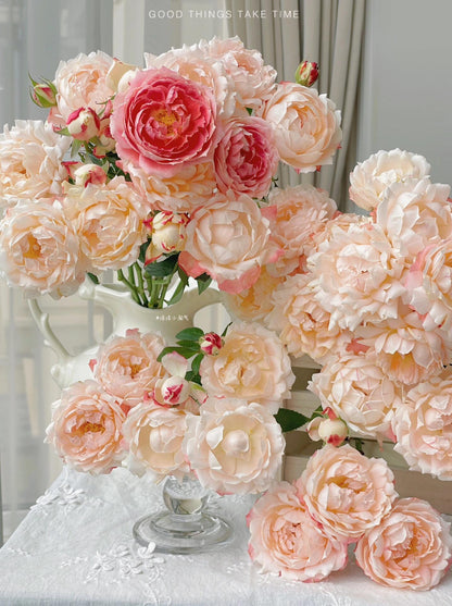 Rose ’ Princess Suki | シャンスポム | 苏琪公主 ‘