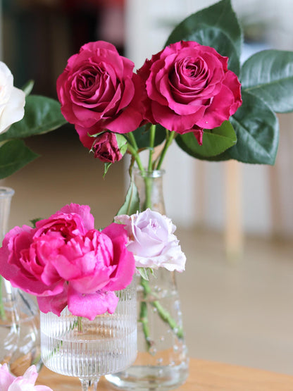 Rose  ' Precious Moments ｜珍贵时刻 '