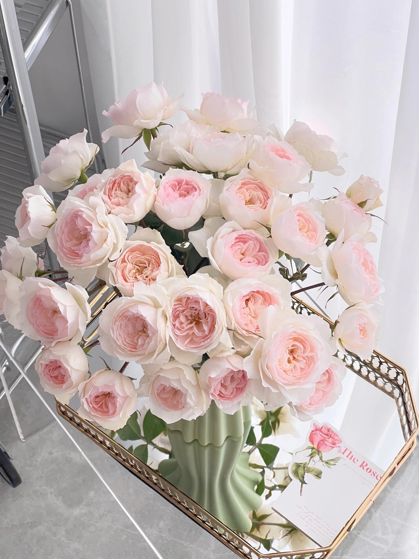 卓上のバラ Roses from Japan – Kisaki Plant