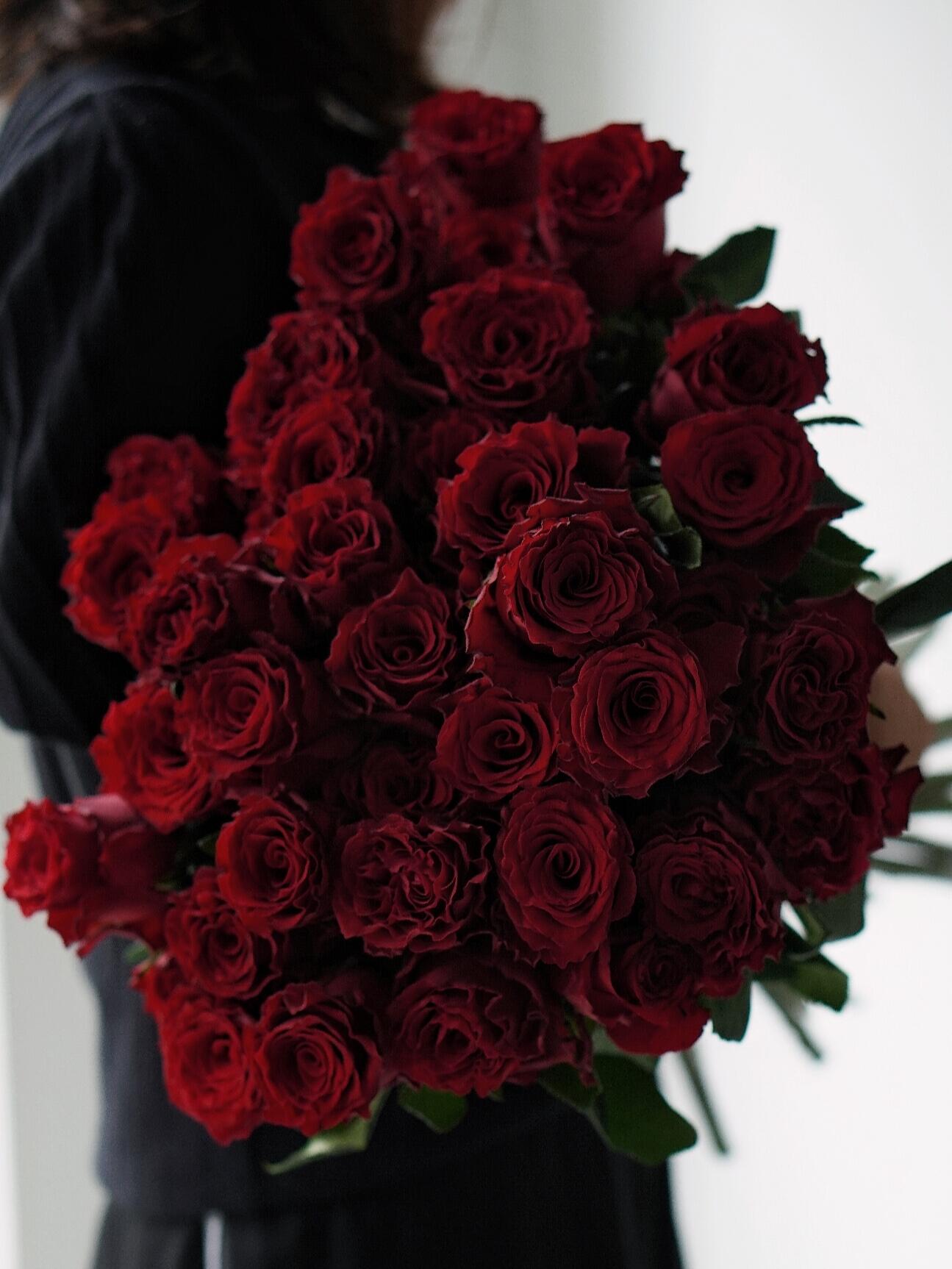 Rose  ‘ Rhodos ｜罗德斯