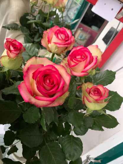 Rose is  ‘ Monroe ｜ 梦露