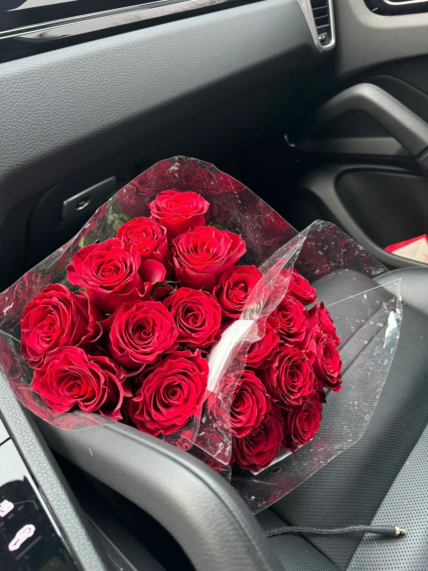 Rose  ‘ Rhodos ｜罗德斯
