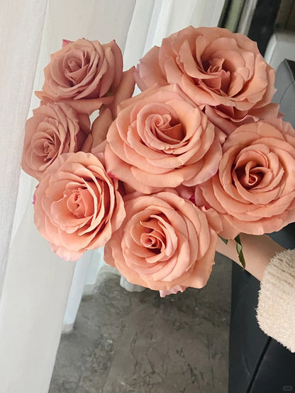 Rose  ‘ RP Moab ’ 莫泊