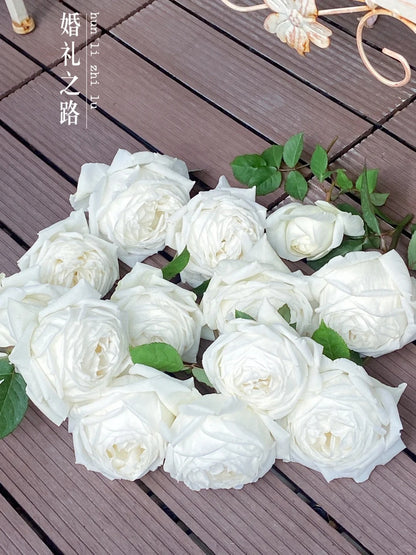 Yves Rose ' Yves Wedding Road | "Cloche de Mariage" | クロッシュドマリアージュ | 婚礼之路  '