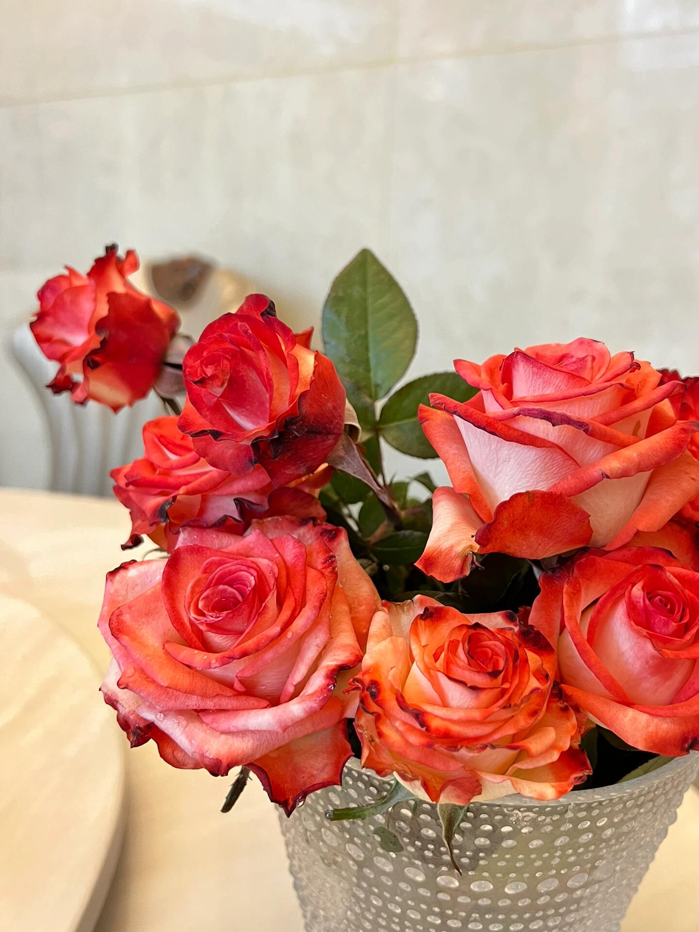 Rare Rose  ’ Yashica｜切花胭脂扣 ｜雅西卡 - New variety
