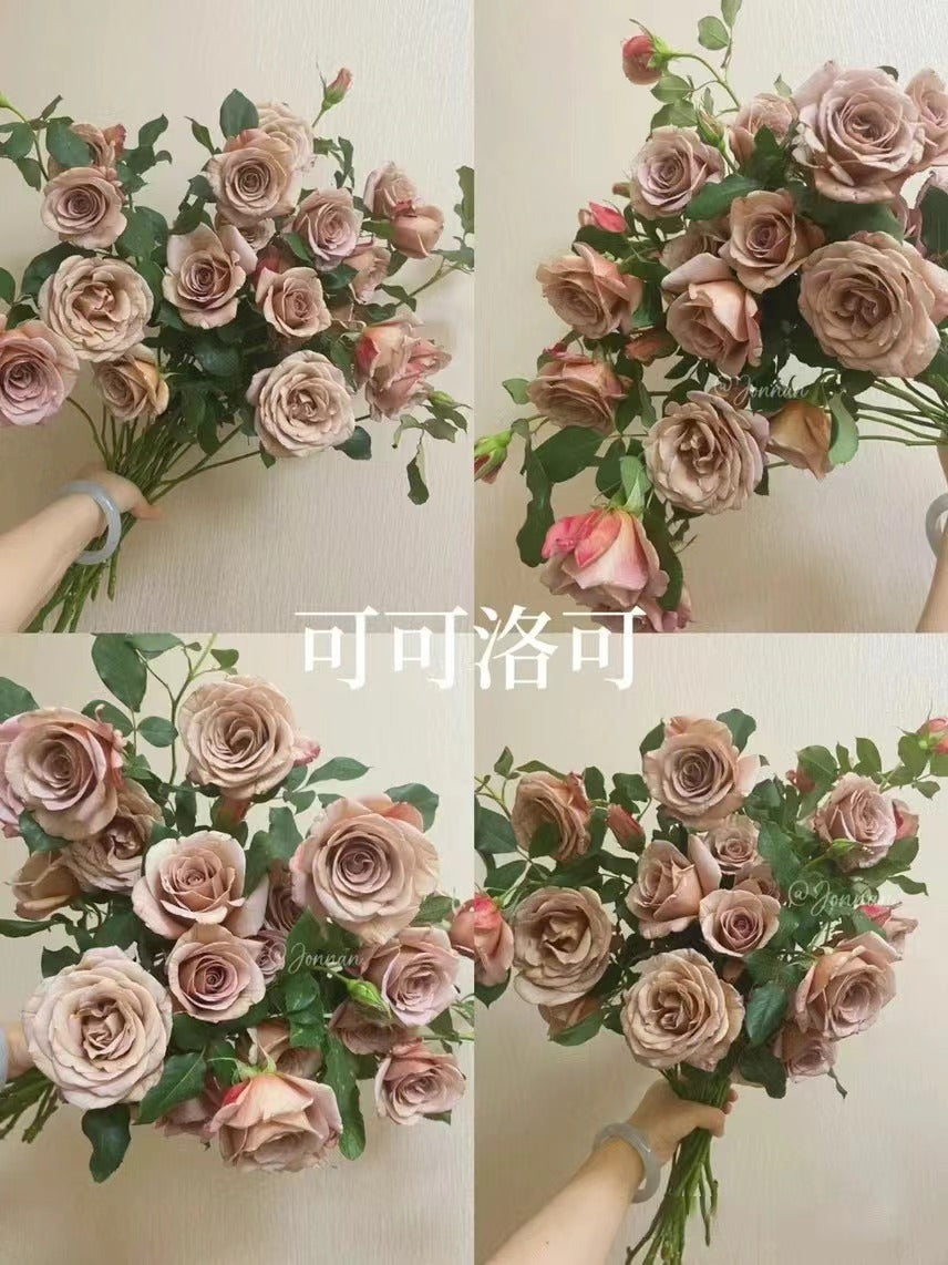 Rosa 'Koko Loko  | 可可洛可  '