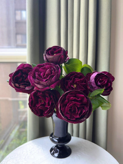 Rose  ‘ Royale | ロワイヤル | 皇宫 ’