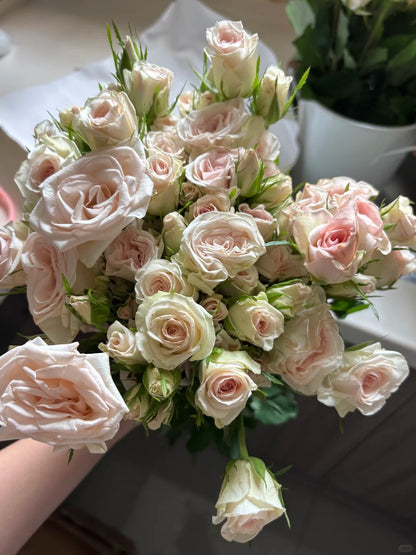 Rose ‘ ’多头香槟