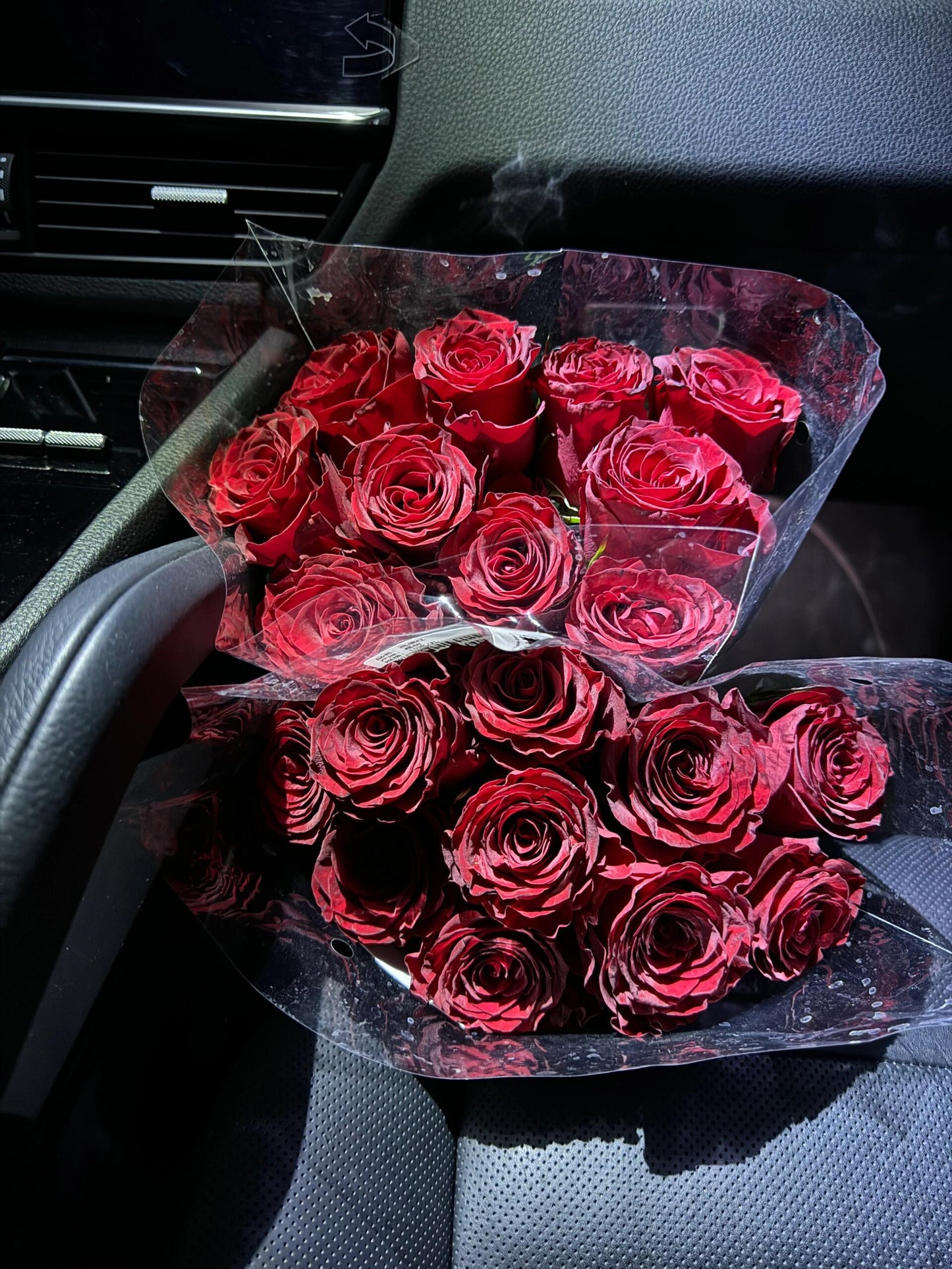 Rose  ‘ Rhodos ｜罗德斯