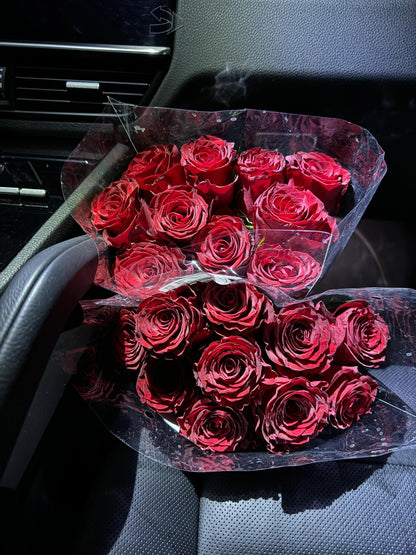 Rose  ‘ Rhodos ｜罗德斯