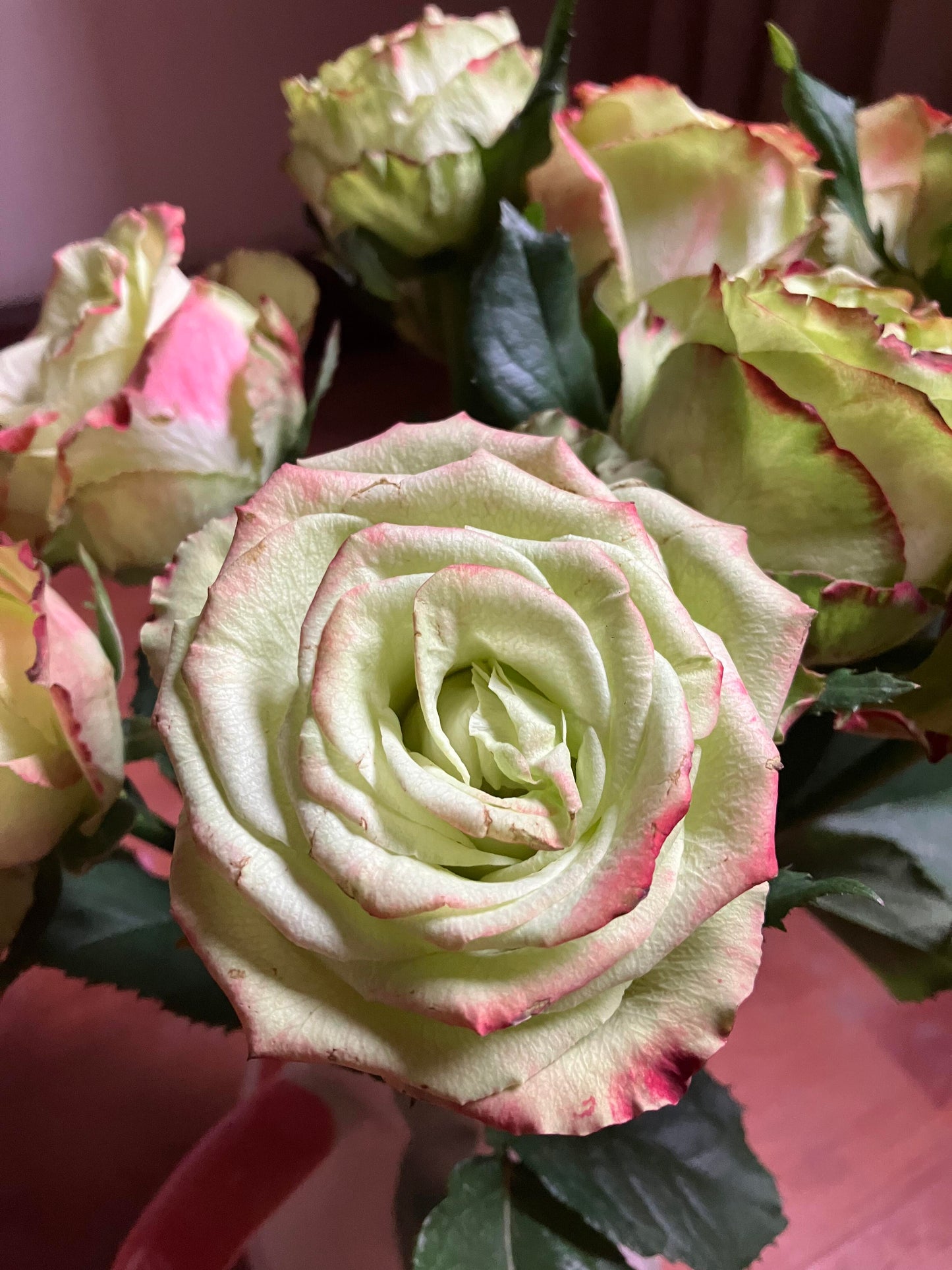 Rose  ‘ Green Apple｜グリーンアップル| 青苹果  - New Variety Florists Rose
