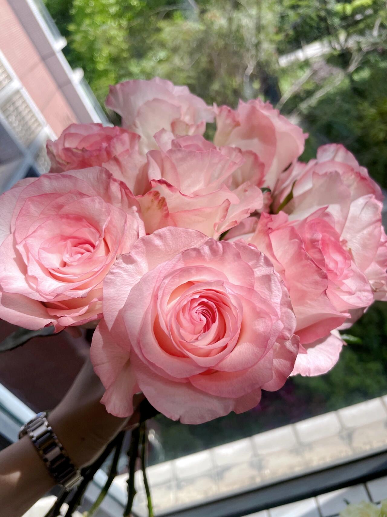 Rose  ’ BouLevard ｜ 林荫大道 | 武媚娘