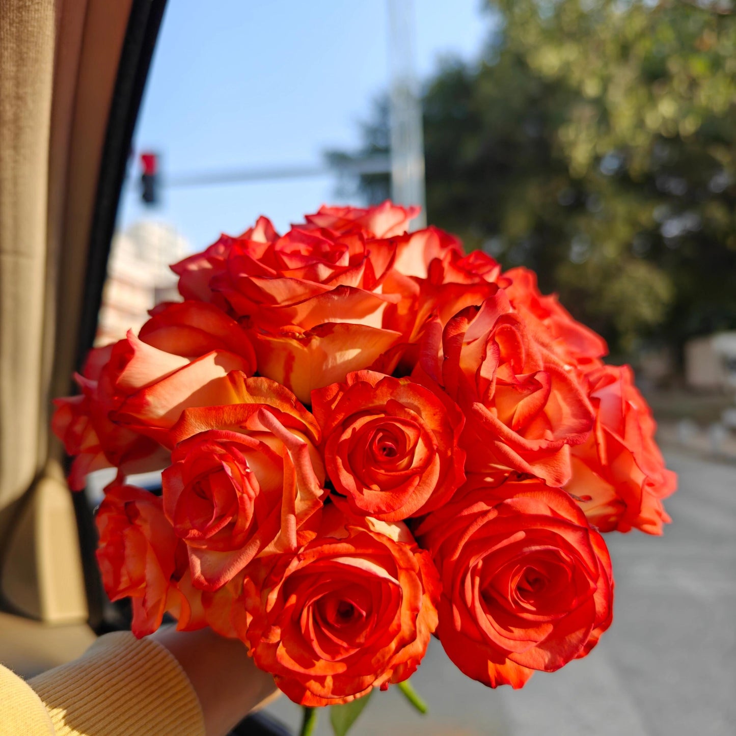 Rare Rose  ’ Yashica｜切花胭脂扣 ｜雅西卡 - New variety