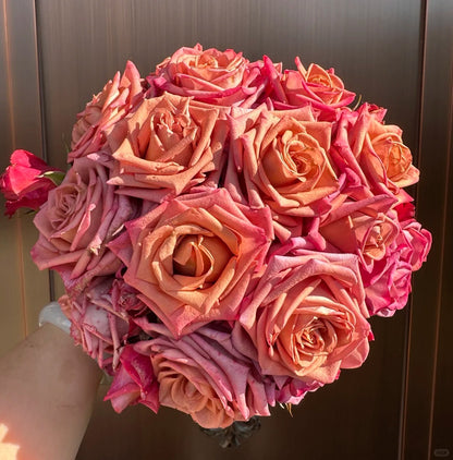 Rose  ‘Barista ’ 调香师 咖啡师 - New Variety Coffee Rosa