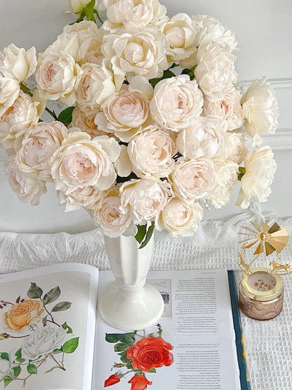 Rose  ’ Kashō｜かしょう｜华宵 - New Variety 2024