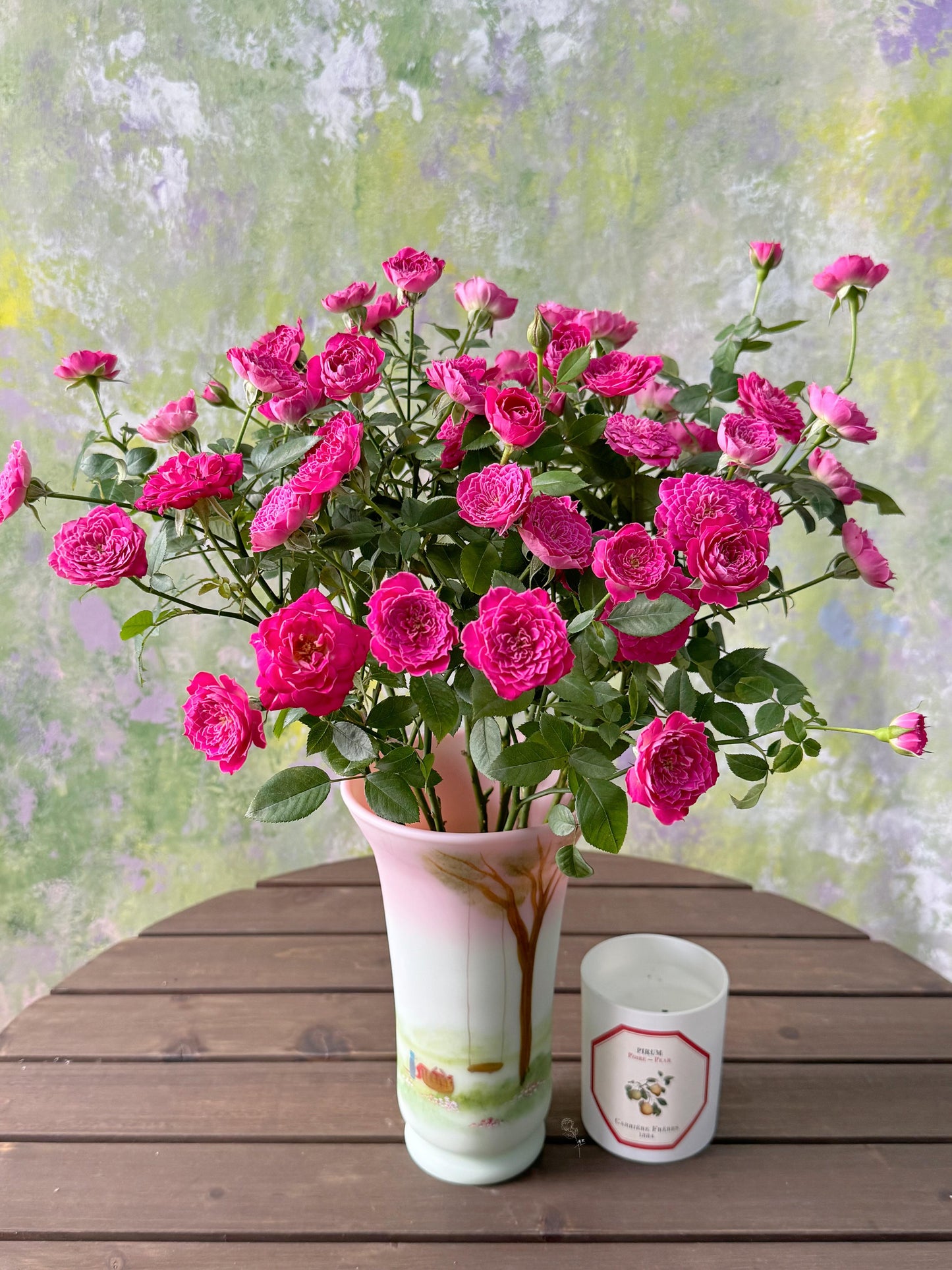 Shrub Rose 'Marriotta | 马里奥塔 '