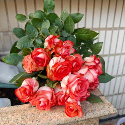 Rare Rose  ’ Yashica｜切花胭脂扣 ｜雅西卡 - New variety