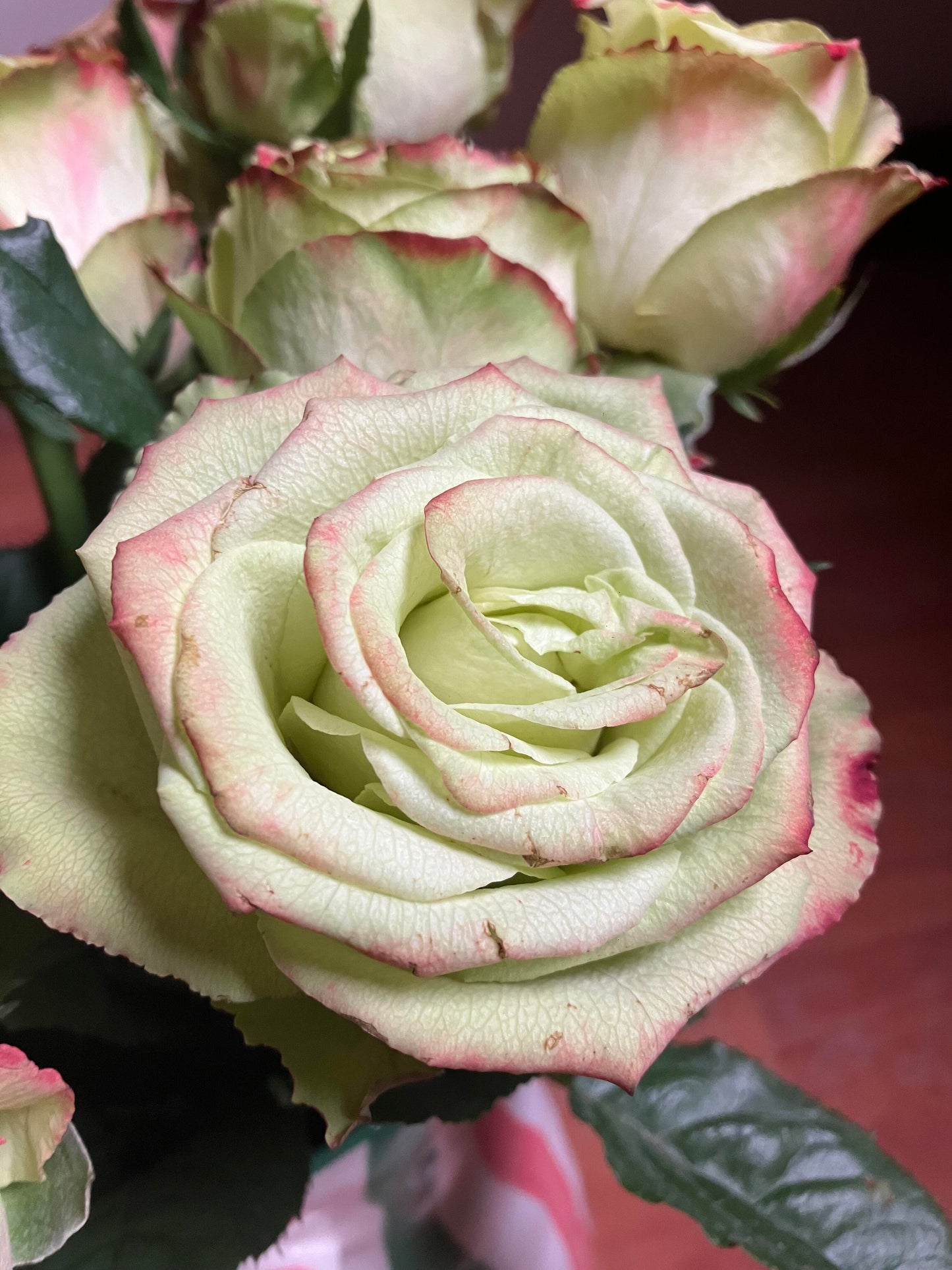 Rose  ‘ Green Apple｜グリーンアップル| 青苹果  - New Variety Florists Rose