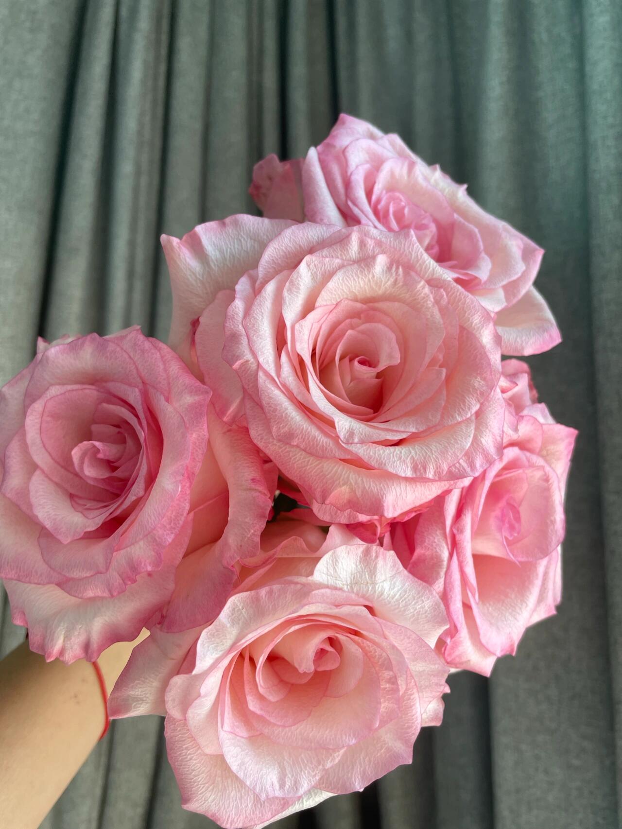 Rose  ’ BouLevard ｜ 林荫大道 | 武媚娘