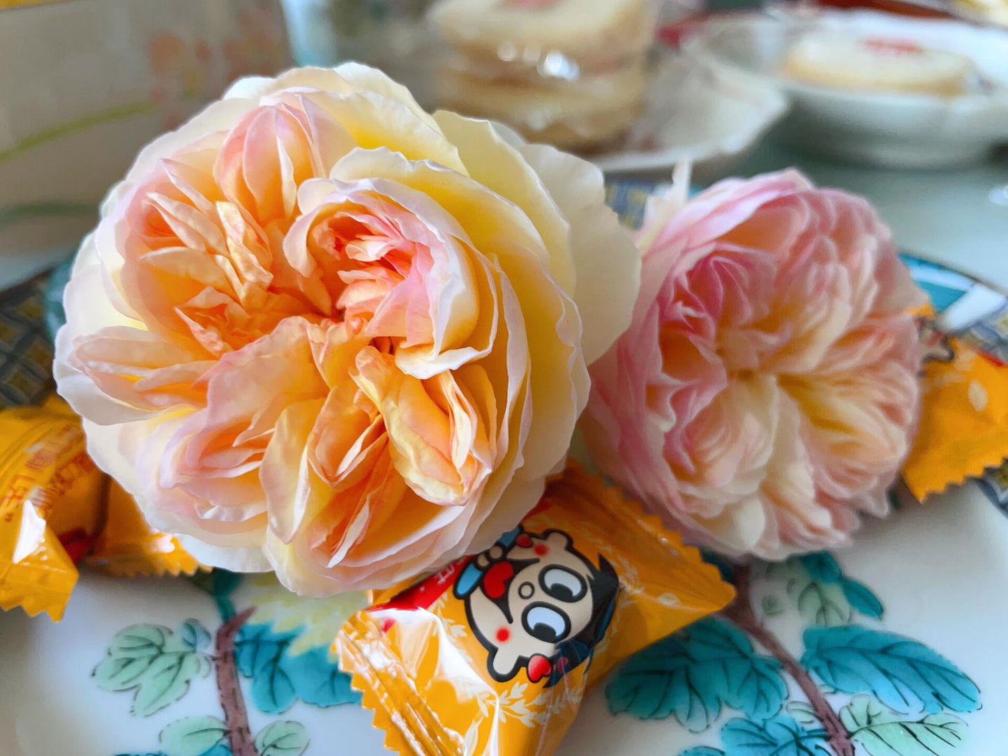 Rose ’ Kagelou| カゲロウ  | 阳炎/蜉蝣  - New varieties 2020