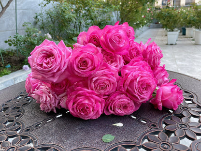 Rose  'Peach Blaze Sky | 桃灼蓝天 | Award-winning '