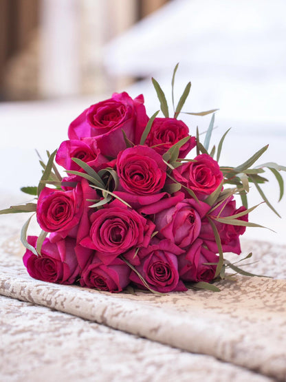 Rose  ’ Belles Rives |  美人丽芙
