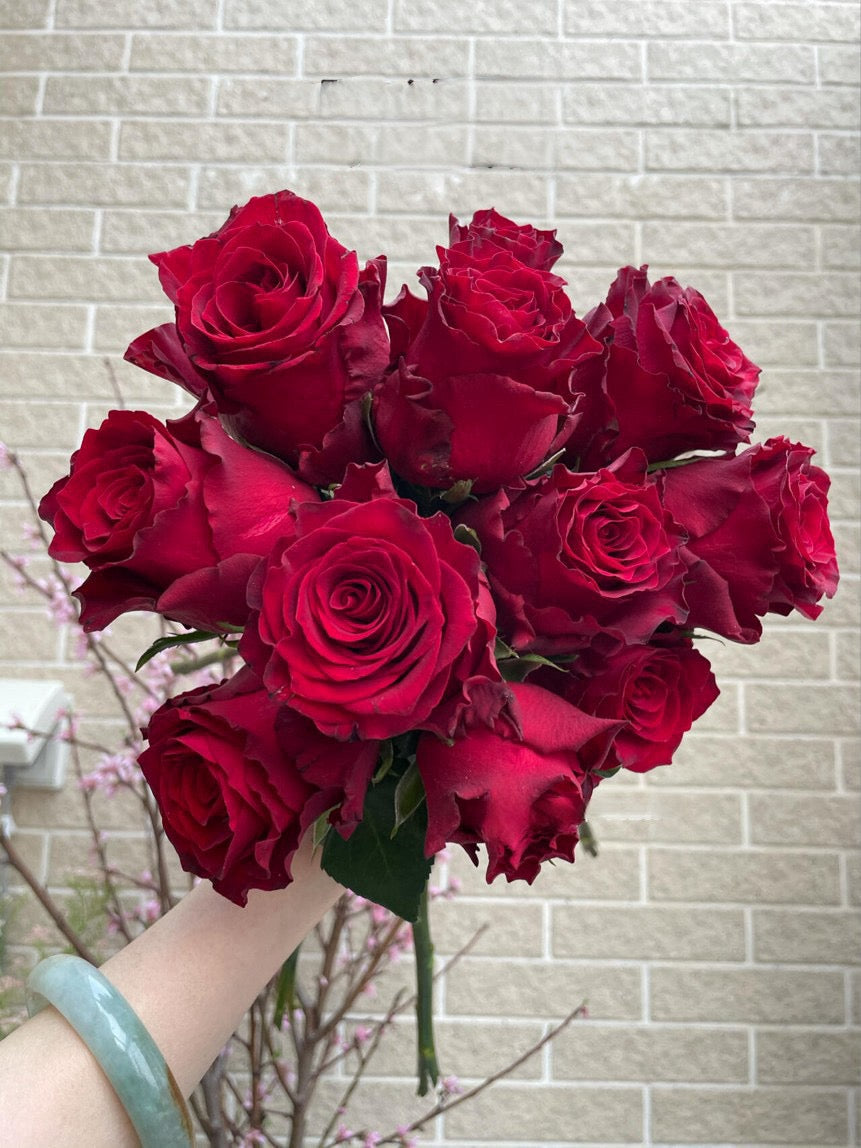 Rose  ‘ Rhodos ｜罗德斯