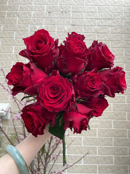 Rose  ‘ Rhodos ｜罗德斯