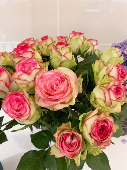 Rose is  ‘ Monroe ｜ 梦露