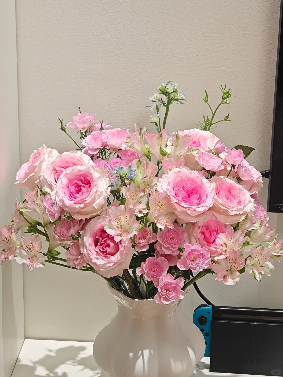 Rose 'Goddess of the Luo River' 洛神