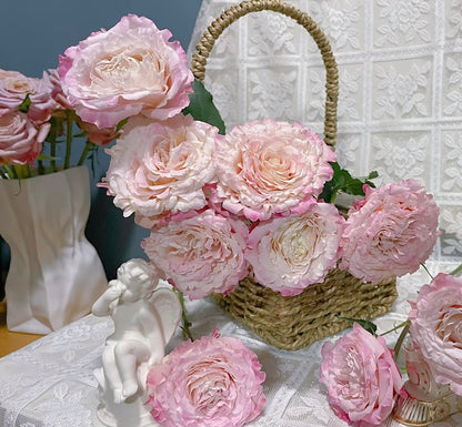 Rose  ‘ Dorothy Perkins ’桃乐丝