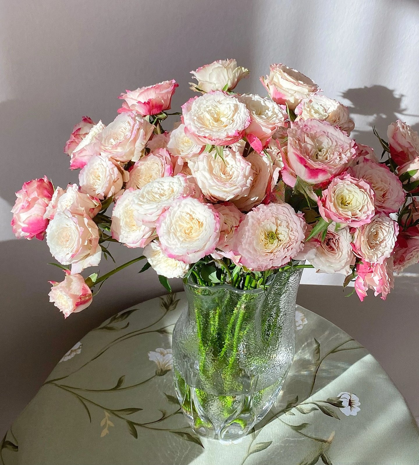 Rose  ‘ Dorothy Perkins ’桃乐丝