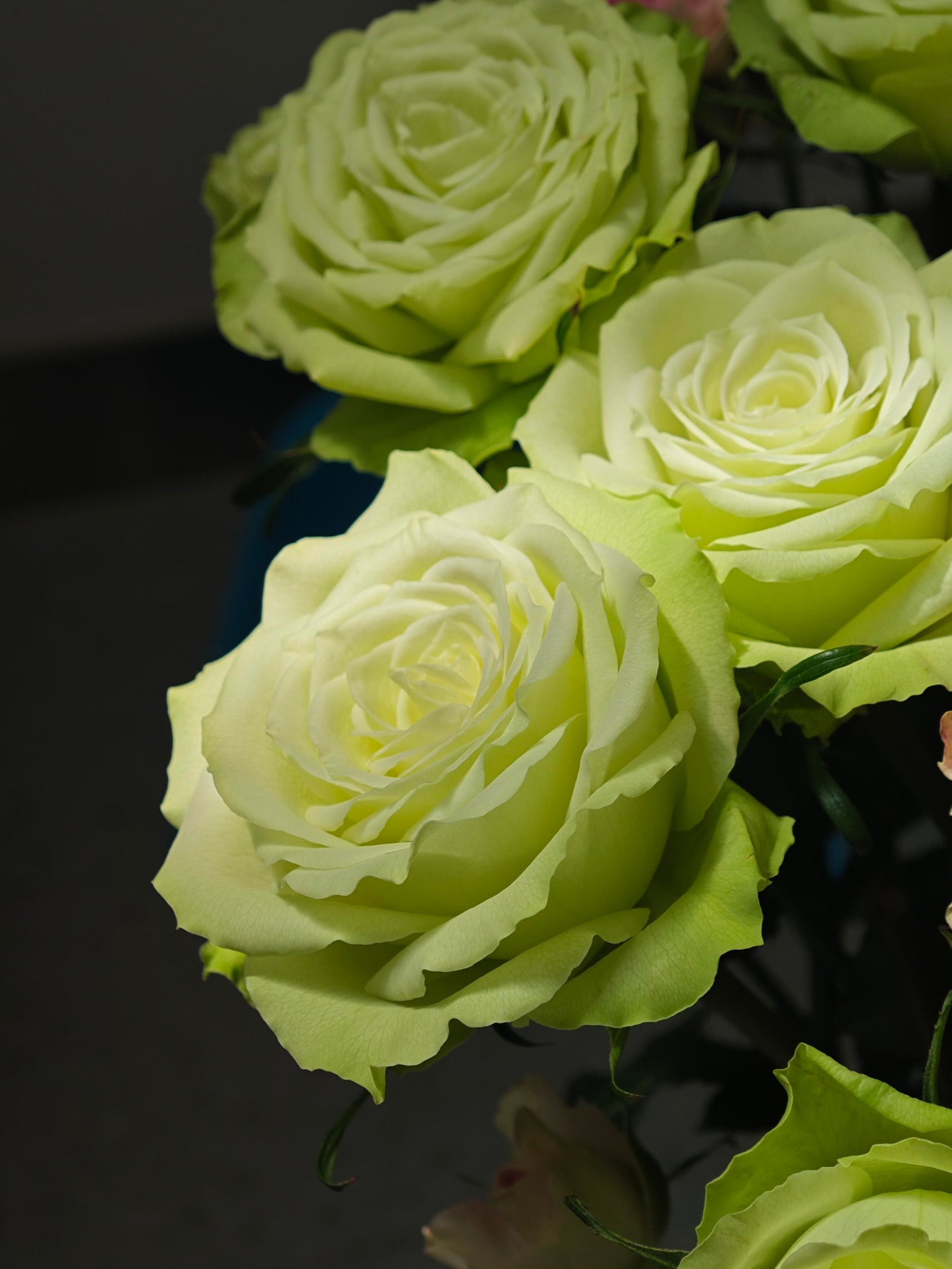 Rare Rose ‘ Mint Tea | ミントティー ‘ 薄荷茶 -